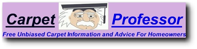 Carpet Professor - carpetprofessor.com