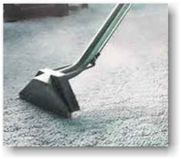 Carpet Stean Cleaning - Carpetprofessor.com