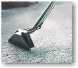 carpet steam cleaning - Carpetprofessor.com